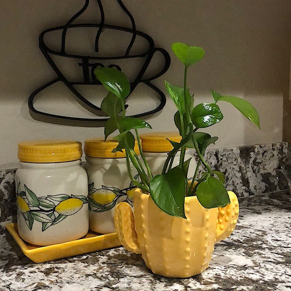 Cactus Planter - Picture 2 of 2